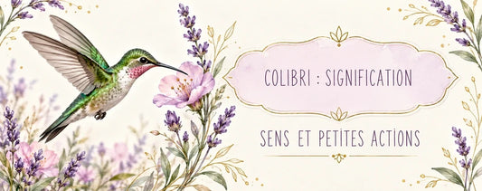 Colibri : signification, légende et intention personnelle
