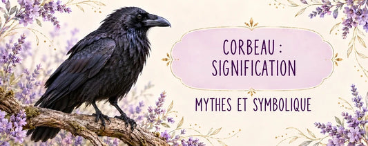 Corbeau : signification, mythes et lecture symbolique