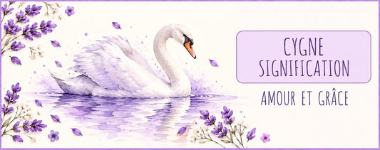 Cygne blanc sur un lac et titre Cygne signification dans un encart lavande
