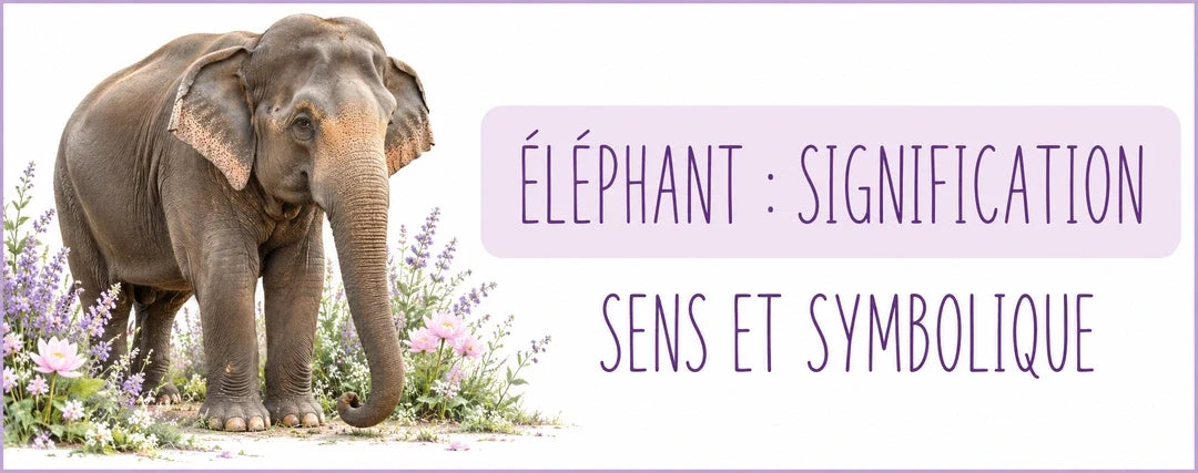 Éléphant : signification, symbolique et lien avec Ganesha