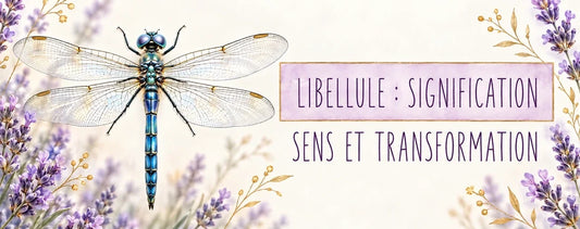 Libellule : signification, transformation et symbolique