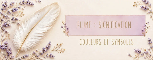 Plume : signification, couleurs et lectures symboliques