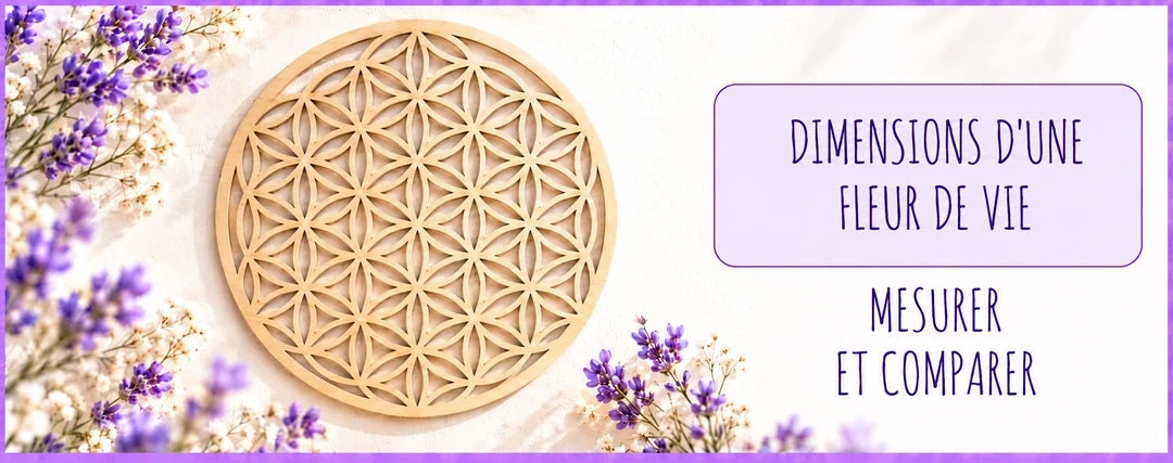 Dimensions d'une Fleur de vie : mesurer et comparer le motif Harmonisante